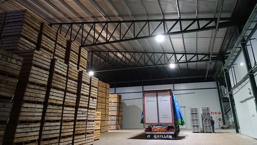 Ventajas del almacenamiento de frutas y hortalizas en cámaras